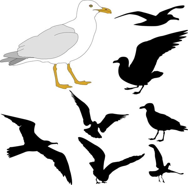 Gaviotas Ilustración Vectorial — Vector de stock