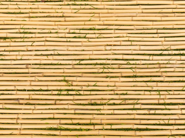 Bambu matta med horisontella pinnar — Stockfoto