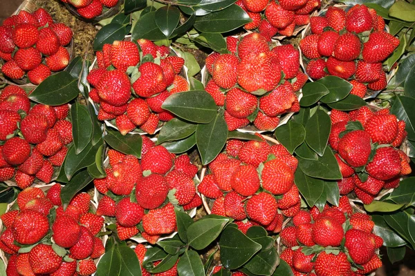 新鲜草莓碗 — 图库照片