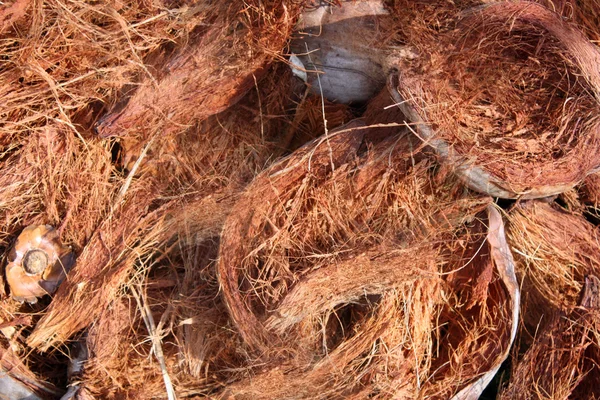 Kokosowe powłoki tła — Zdjęcie stockowe