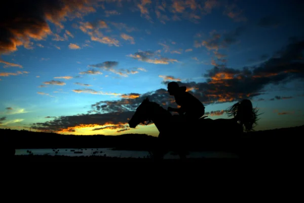 stock image Speeding Horserider