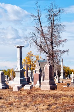 ürkütücü eski ölü ağaçlar ile eski mezarlık