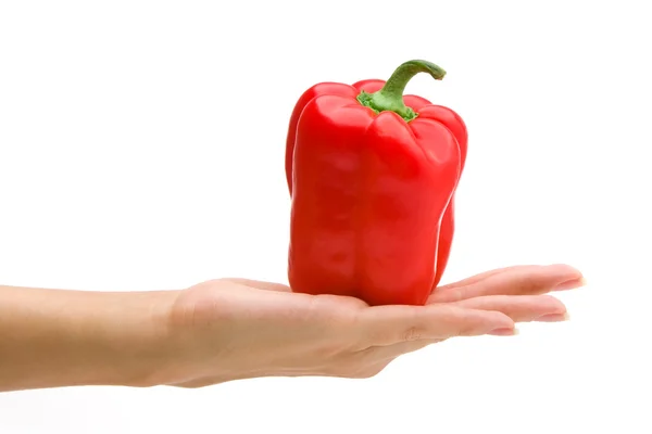 Hand som håller röd paprika — Stockfoto