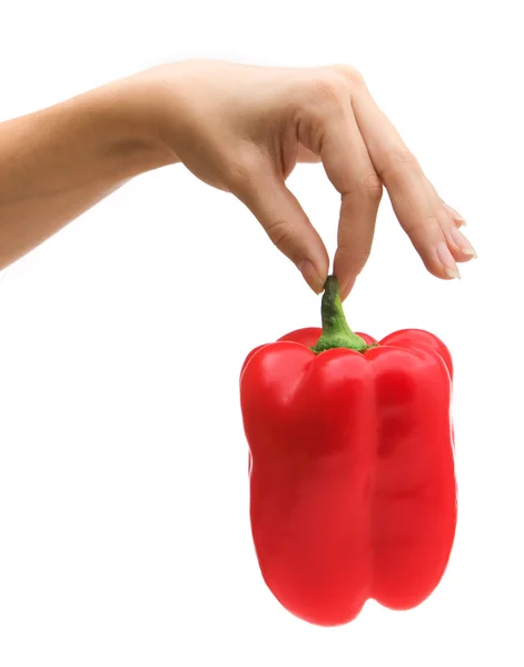 Hand som håller paprika — Stockfoto