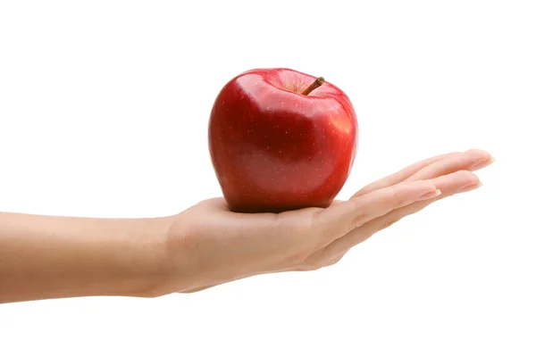 Hand holding rode appel — Stockfoto