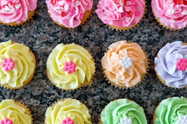 Reihen von vielen pastellfarbenen Cupcakes — Stockfoto