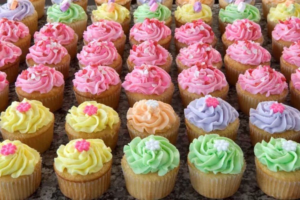 Fileiras de muitos pastel coloridos Cupcakes — Fotografia de Stock