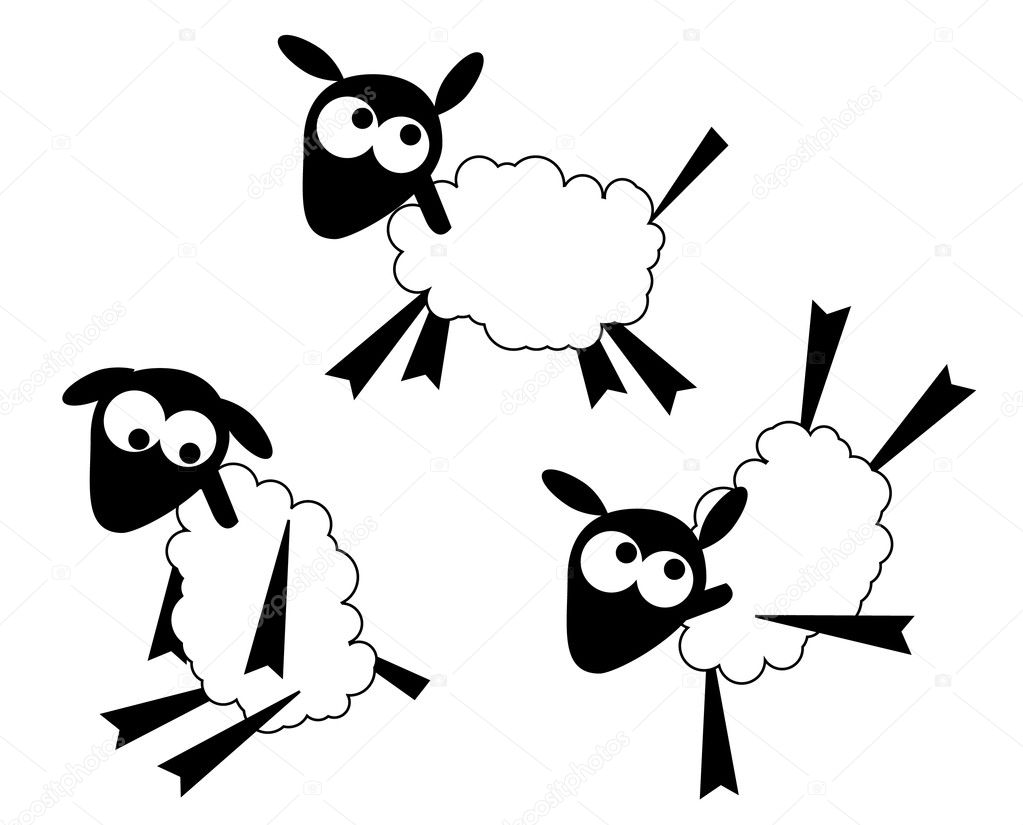 Three sheep isolated on a white background