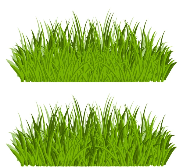 Bordures Herbe Verte Isolées Sur Fond Blanc — Image vectorielle