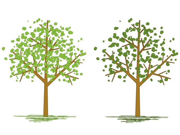 Δύο δέντρα καλοκαίρι — Διανυσματικό Αρχείο