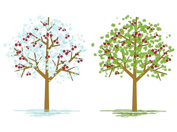 Cseresznye fák — Stock Vector