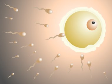 sperm yumurta vektör gübreleme