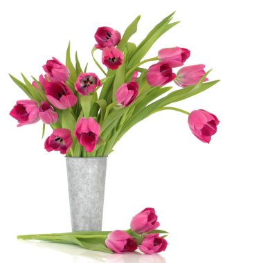 Pink Tulips clipart