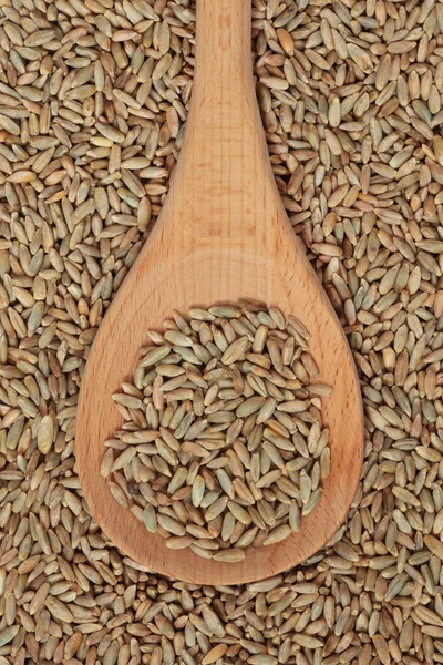 Çavdar tahıl — Stok fotoğraf