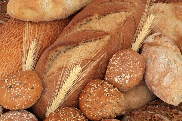 Prosty chleb i bułki — Zdjęcie stockowe