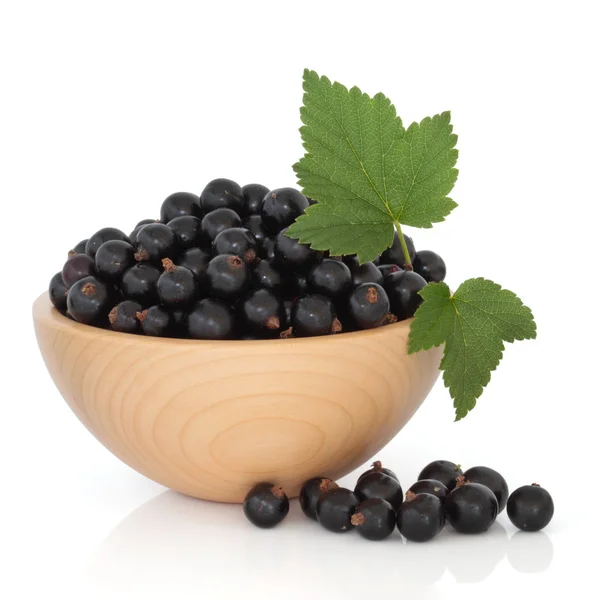 Svarta vinbär frukt — Stockfoto