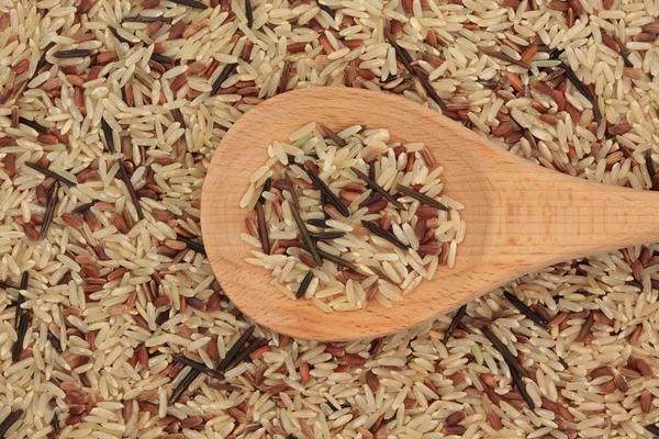 Yabani pirinç — Stok fotoğraf