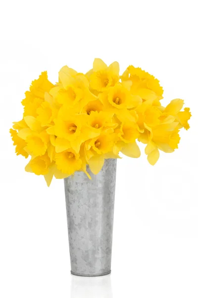 Блідо-жовтий колір квітка краси — стокове фото