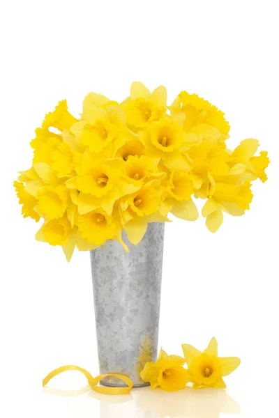 Kwiat żonkila uroda — Zdjęcie stockowe