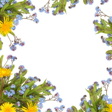 Spring Flower Border clipart