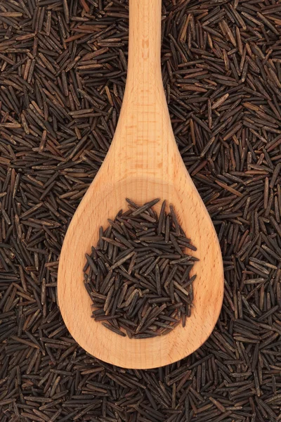 stock image Wild Rice