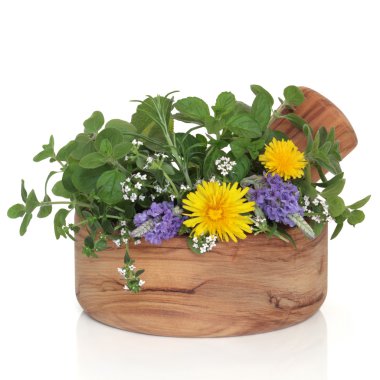 Herb and Wildflower Selection clipart