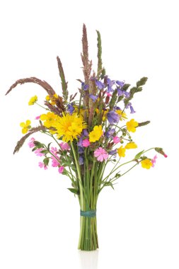 Spring Wildflower Posy clipart