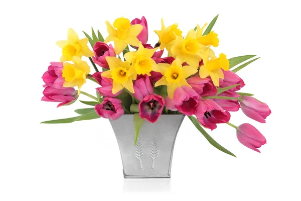 郁金香和水仙花的美 — 图库照片