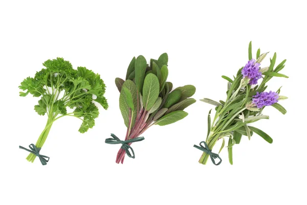 Petrezselyem, a zsálya és levendula fűszernövények — Stock Fotó