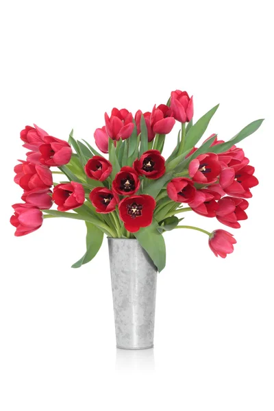Tulipan kwiat piękna — Zdjęcie stockowe