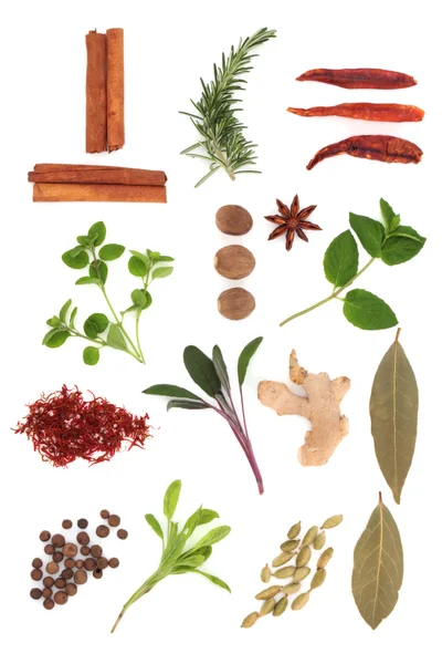 Seleção de especiarias e ervas — Fotografia de Stock