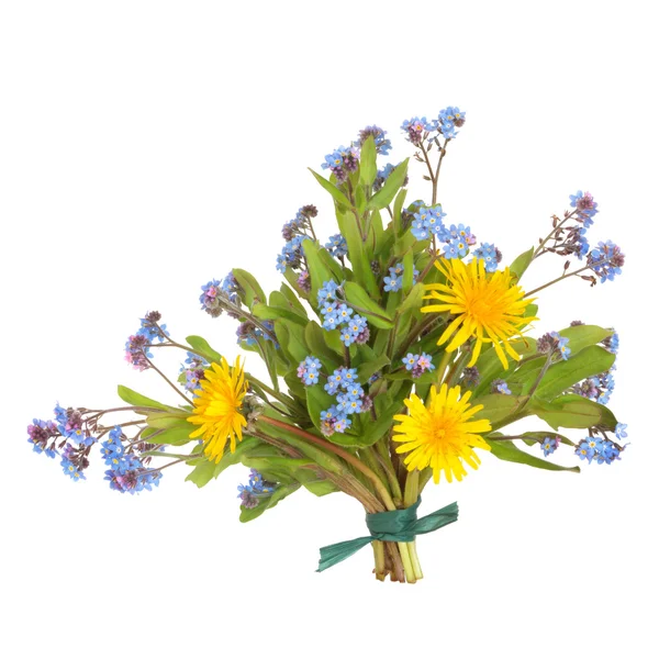 Spring Wildflowers — Stock Photo, Image