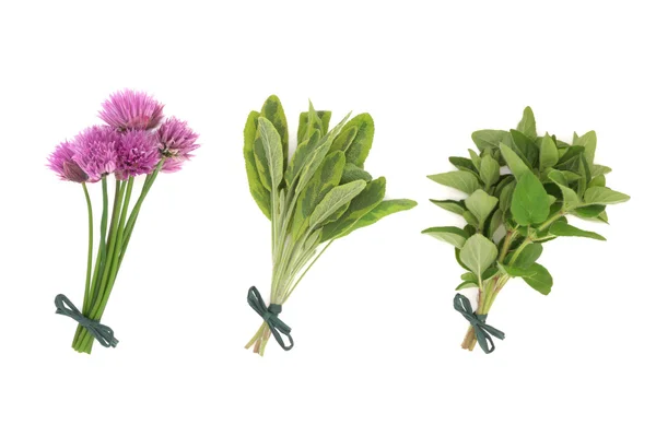 Chives, Sage and Oregano Herbs — Stock Photo, Image