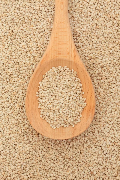 Quinoa obilí — Stock fotografie