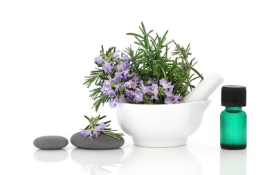 Rosemary Herb Spa Treatment clipart