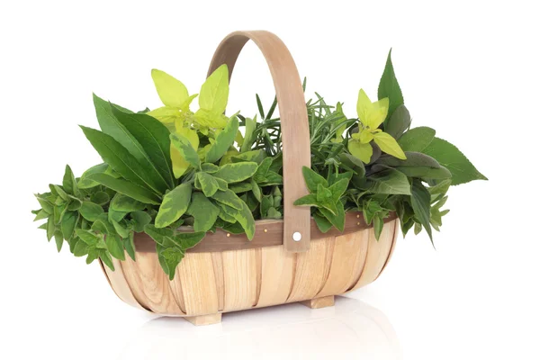 Herb Basket — Stock Photo, Image