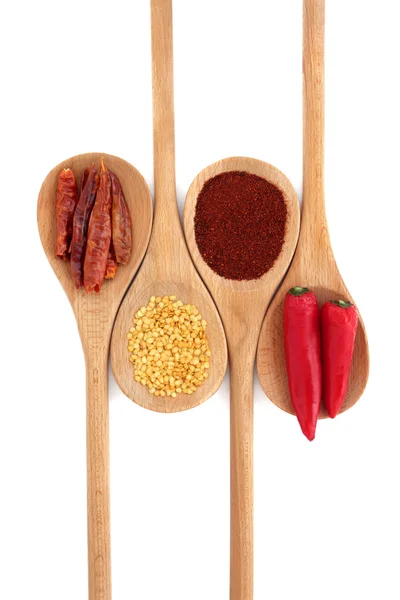 Różne przyprawy chili — Zdjęcie stockowe