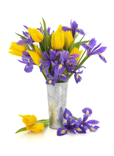 Tulipán és iris virágok — Stock Fotó
