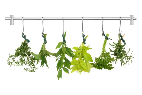 Drying Herbs — Stock Photo, Image
