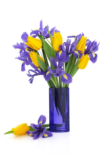 Iris and Tulip Flowers — Zdjęcie stockowe
