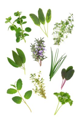 Herb Leaf Variety clipart