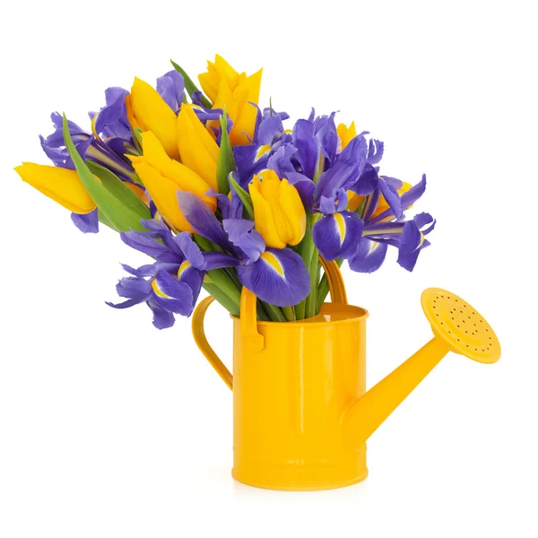 Tulip och iris blomma skönhet — Stockfoto