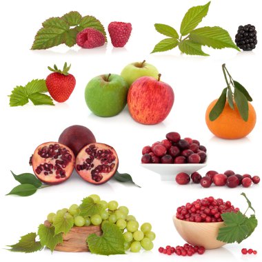 Fruit Collection clipart