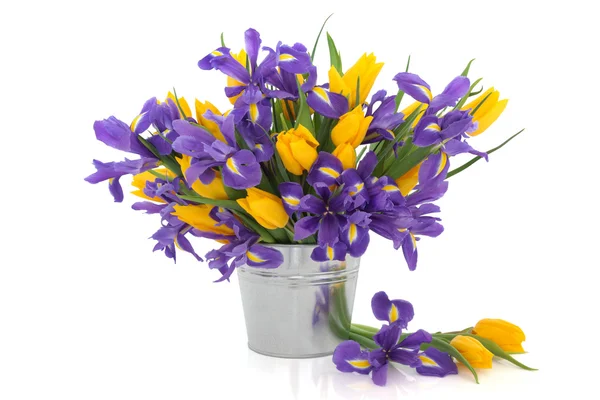Tulip en iris bloemen — Stockfoto