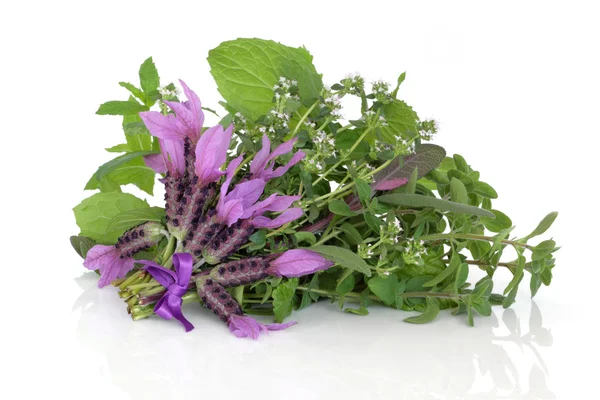 Léčivý květ a bylinkové listy — Stock fotografie