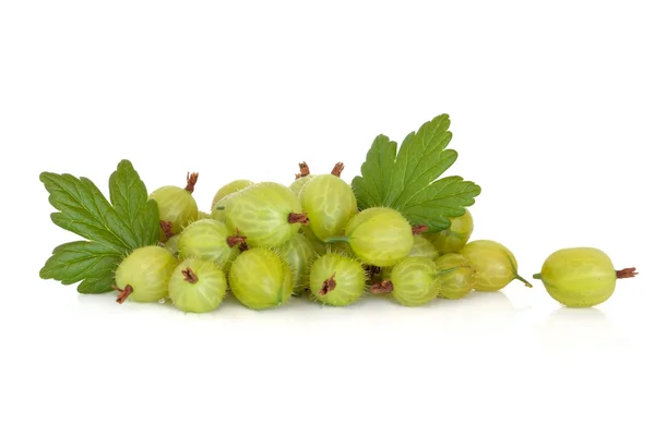 Frutas de groselha — Fotografia de Stock