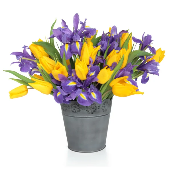 Iris et fleurs de tulipes — Photo