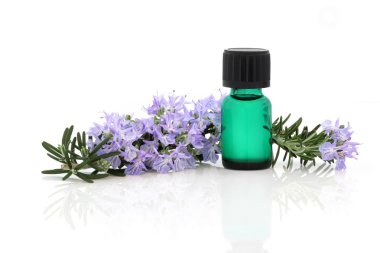 Rosemary Herb Essence clipart