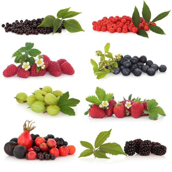 Berry ovoce sampler — Stock fotografie