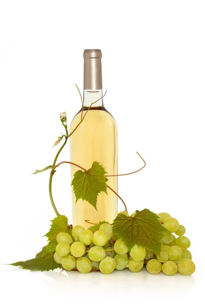 Vino blanco con vid de uva —  Fotos de Stock